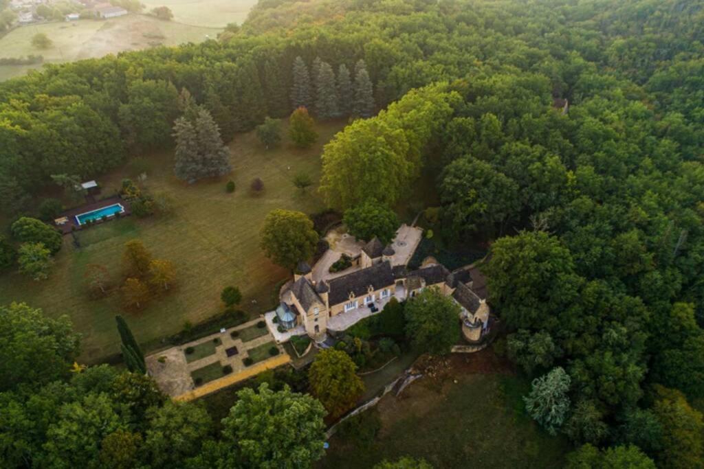 Chateau La Carriere Villa Saint-Cyprien  Exterior foto